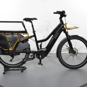 Veilige Betaling Riese & Müller Multicharger GT Vario