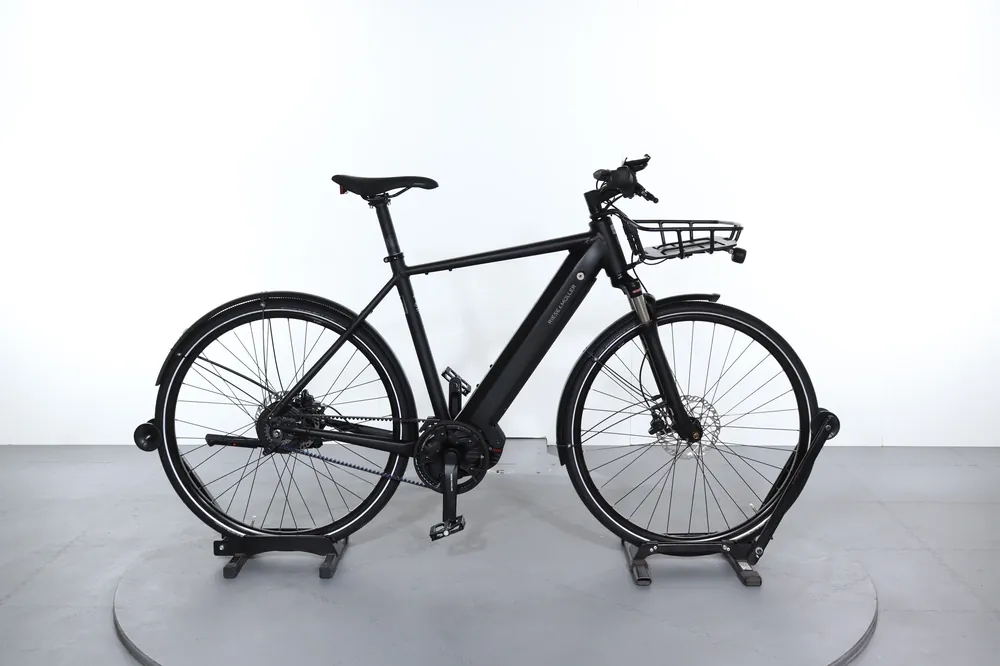 Riese & Müller Roadster Vario Lage Kosten