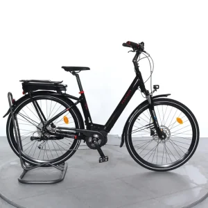 Betaalbaar Peugeot EC01 D9