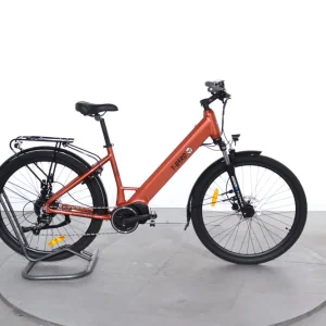 Actieprijs T-Bird Golden Gate