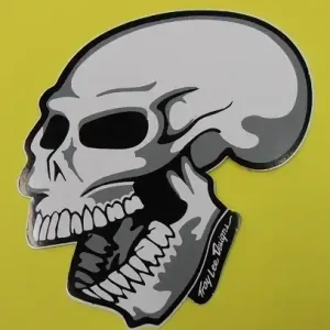 Actieprijs Nálepka Lebka velká