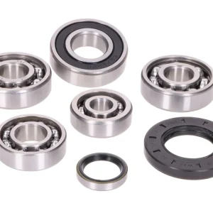 LagerSet Aandrijving incl. Keerringen voor Yamaha Majesty, Maxster, Teos, X-City, Benelli Velvet, Malagutti Madison, MBK Doodo, Skyliner, Thunder 125cc 4-Takt Gereduceerde Prijs