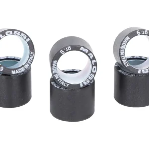 Beperkt Aanbod Variorollen Malossi HT 21x17mm - 12,0g