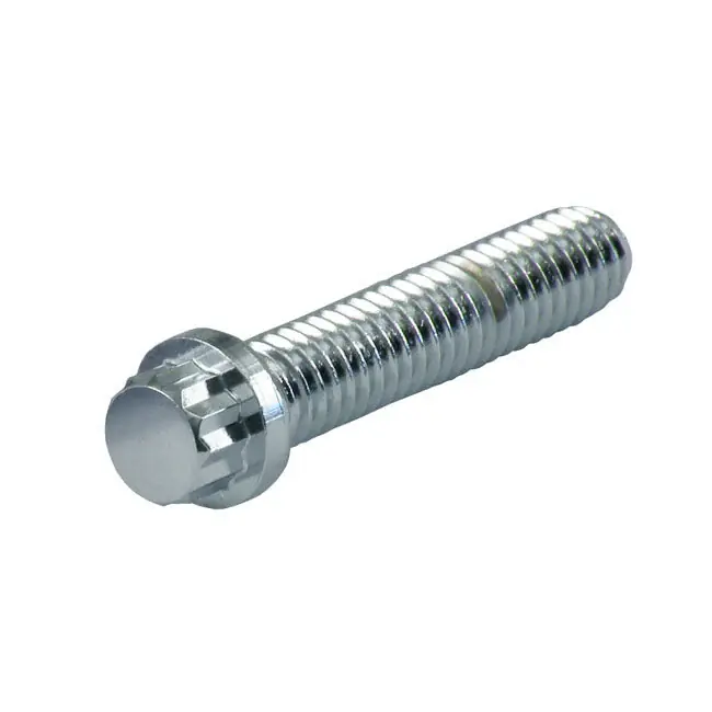 Koop Vandaag GW 12-puntsbout chroom M12 5-pak 100mm