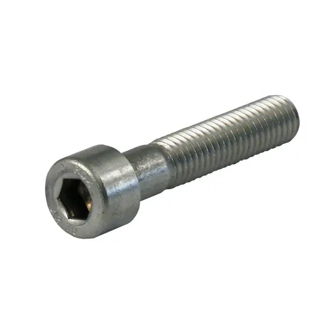 GW inbusbout roestvrij M10 25 stuks 100mm Alleen Vandaag